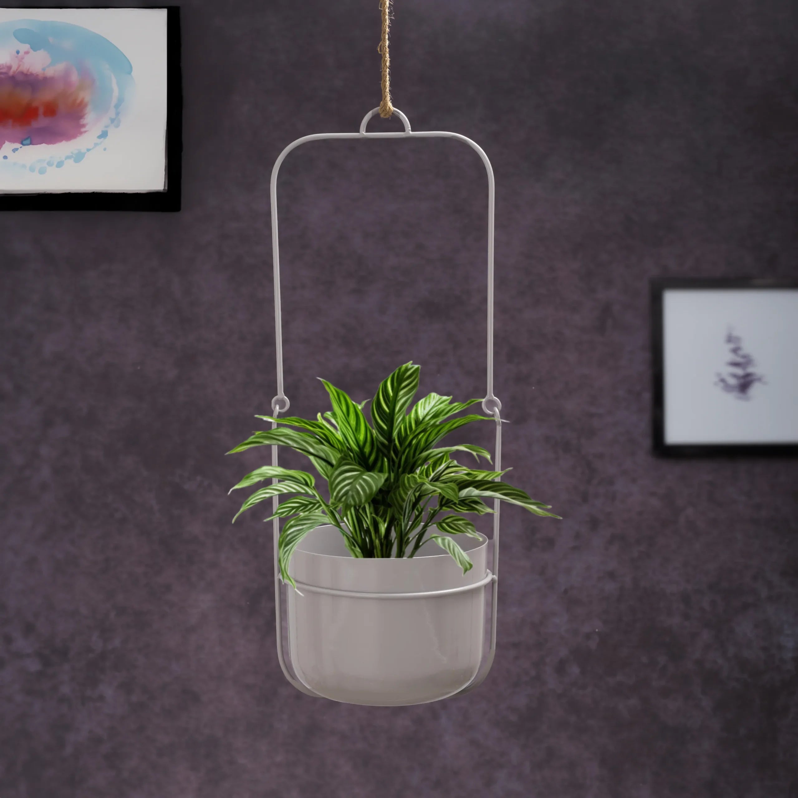 Hanging Planters