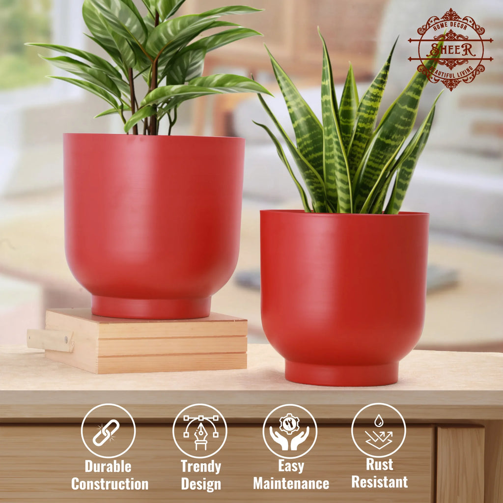 Rangini–Laal Planter Set