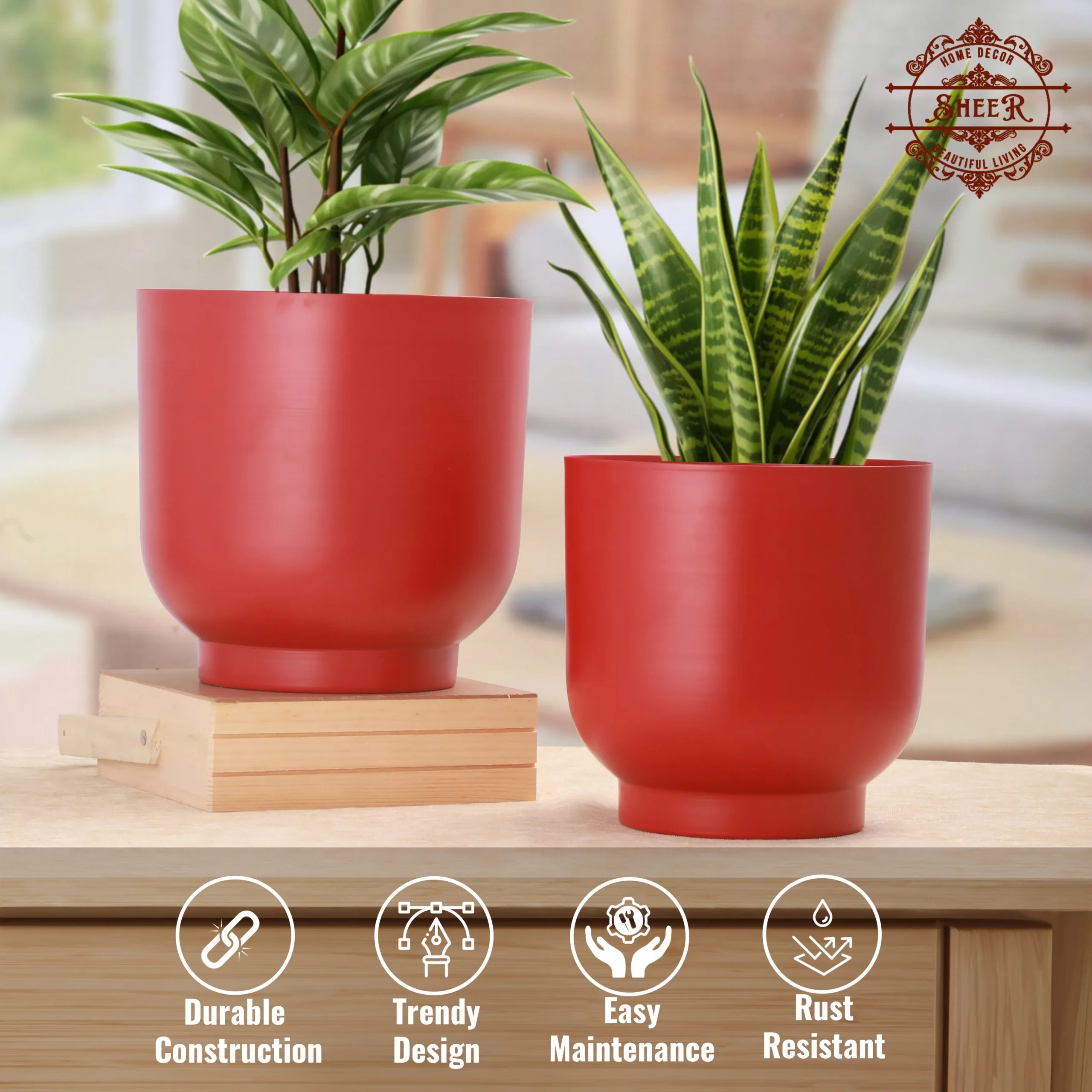 Rangini–Laal Planter Set