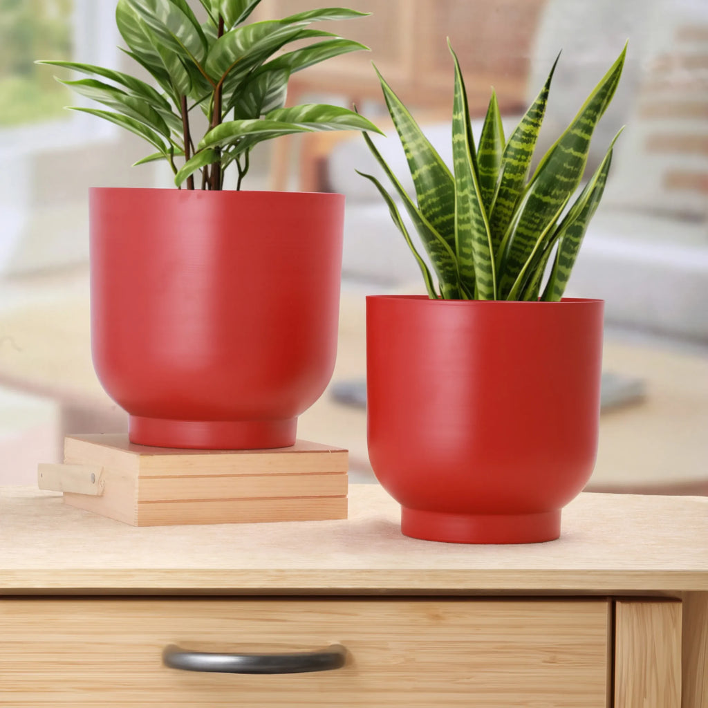 Rangini–Laal Planter Set