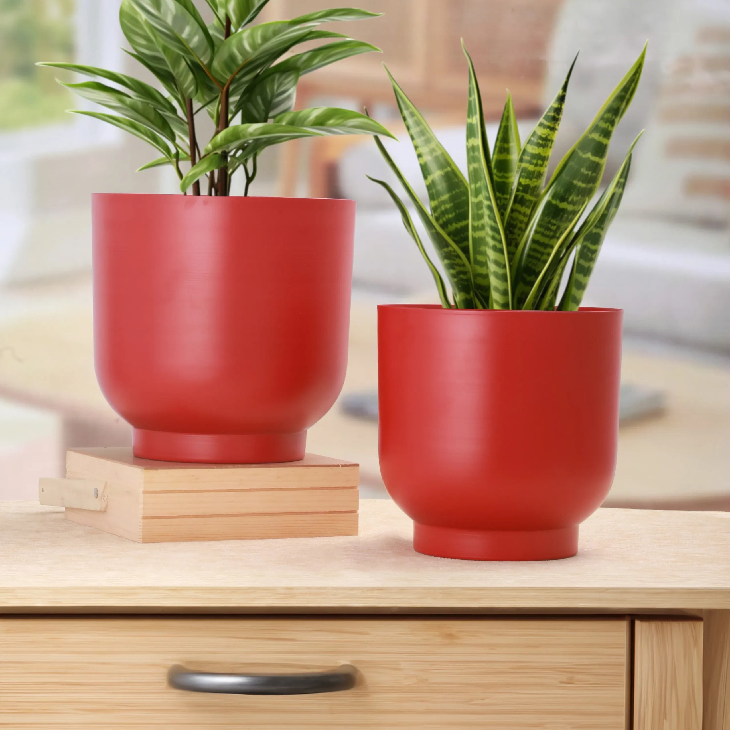Rangini–Laal Planter Set