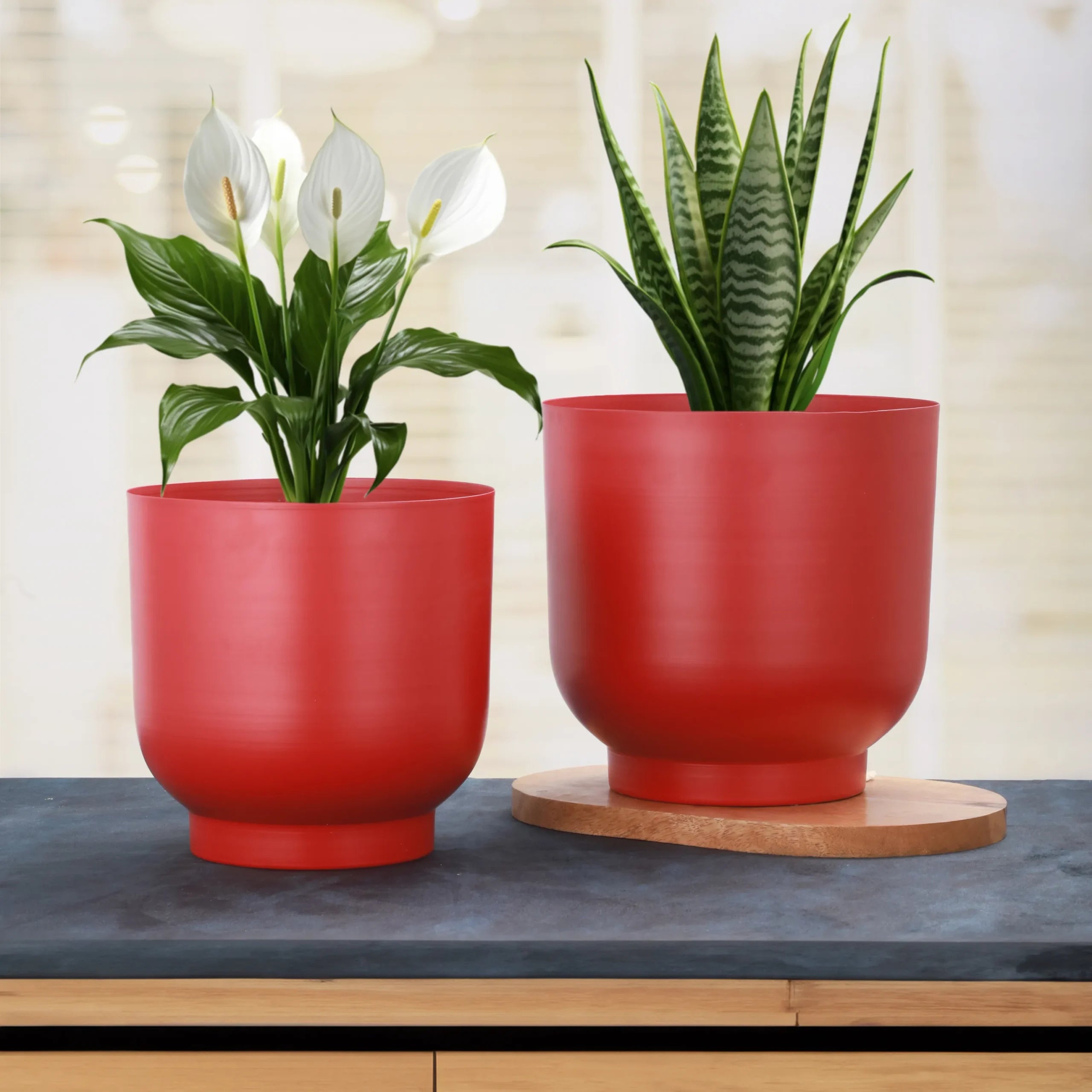 Rangini–Laal Planter Set
