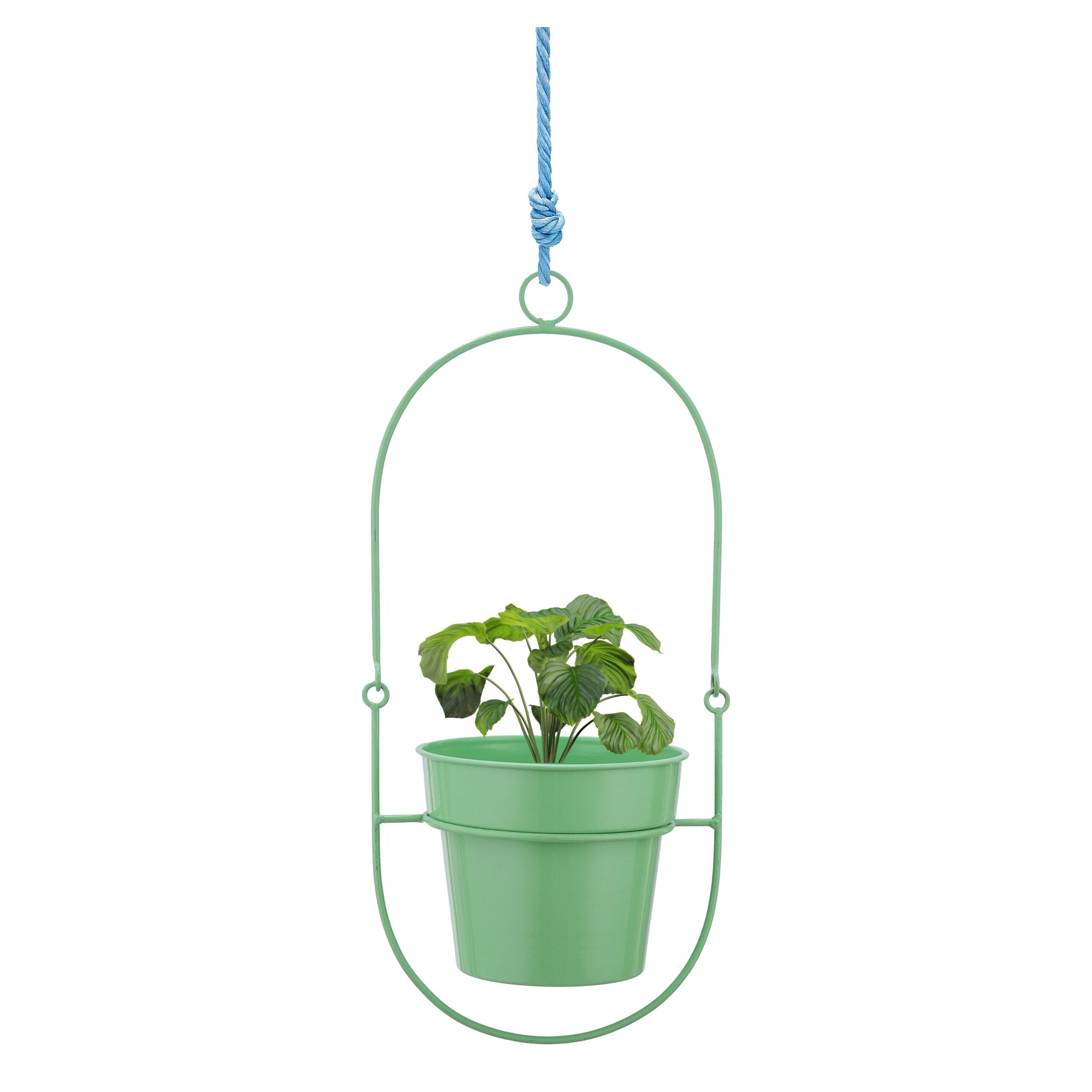 Green Glow Hanging Pot