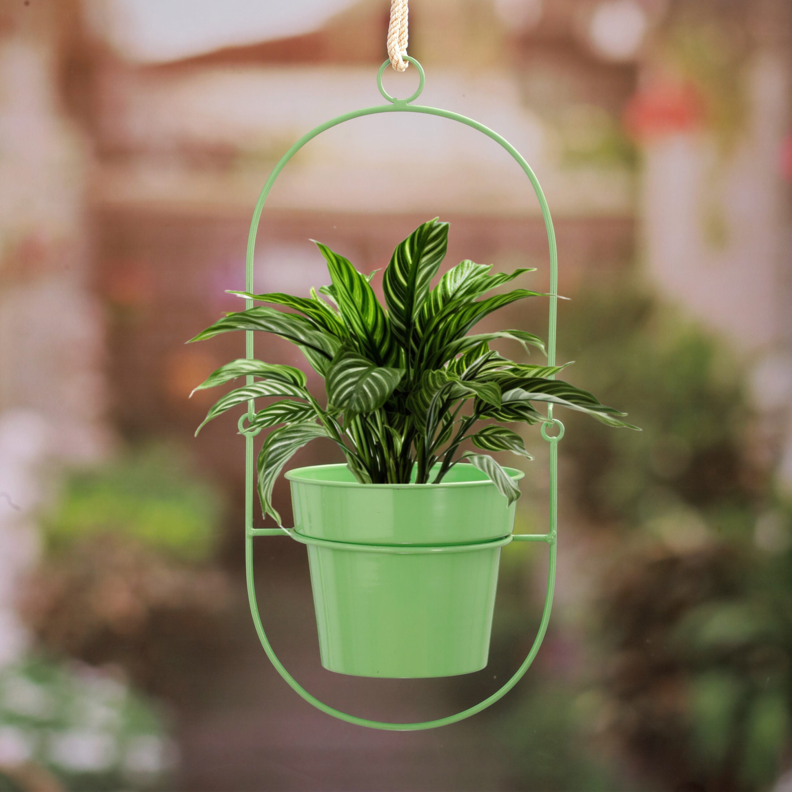 Green Glow Hanging Pot