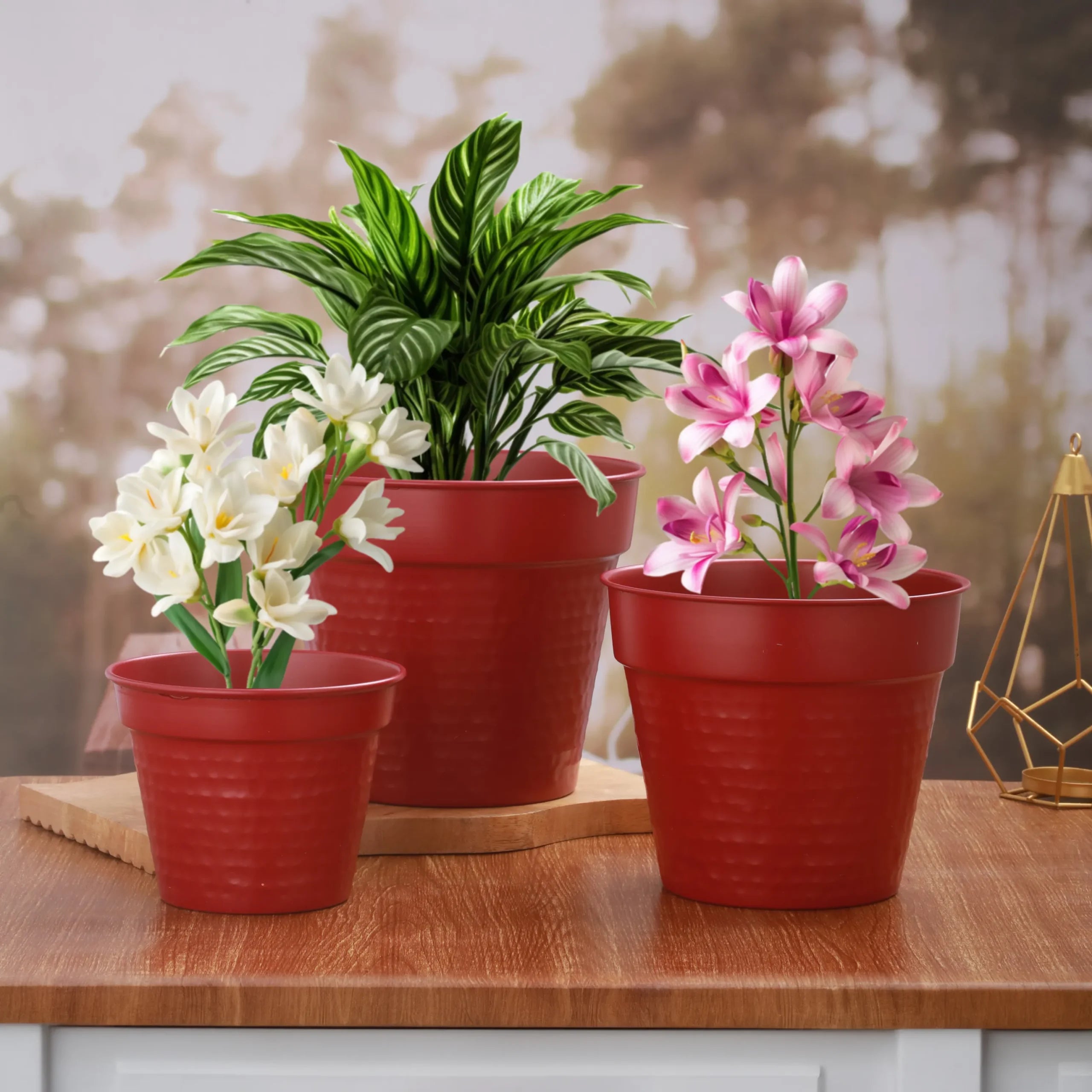 Ravya Red – Set of 3 Planters