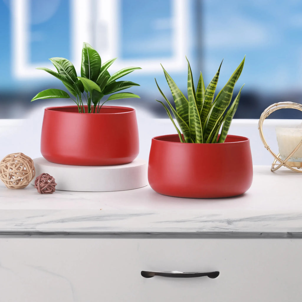 RoséCharm Table Planter