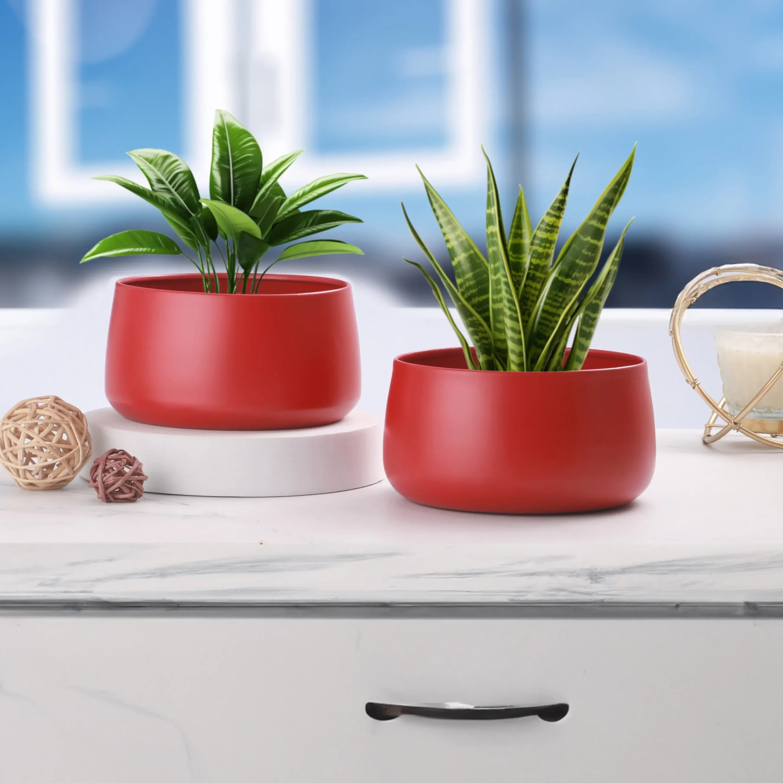 RoséCharm Table Planter