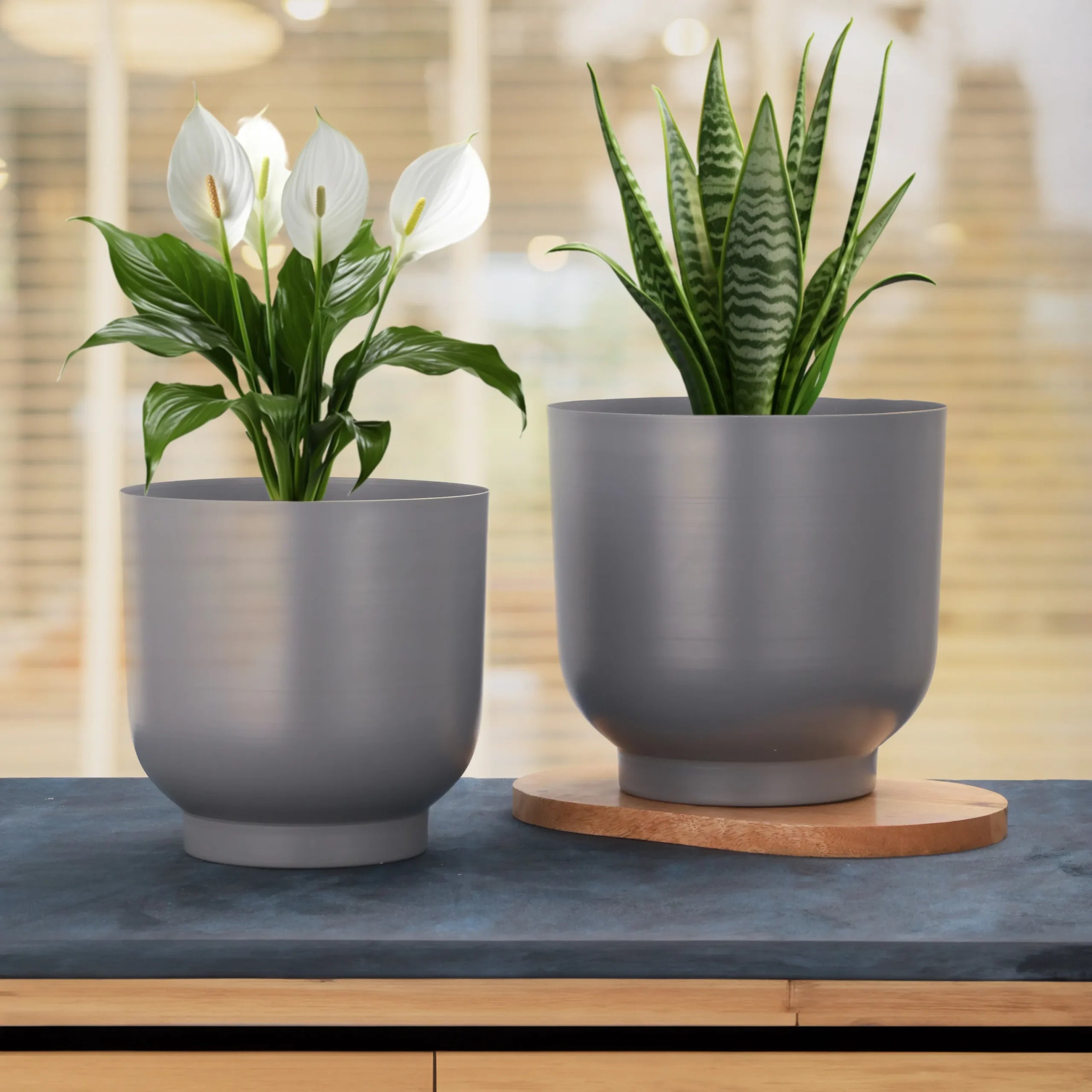 Graphite Grace Planter
