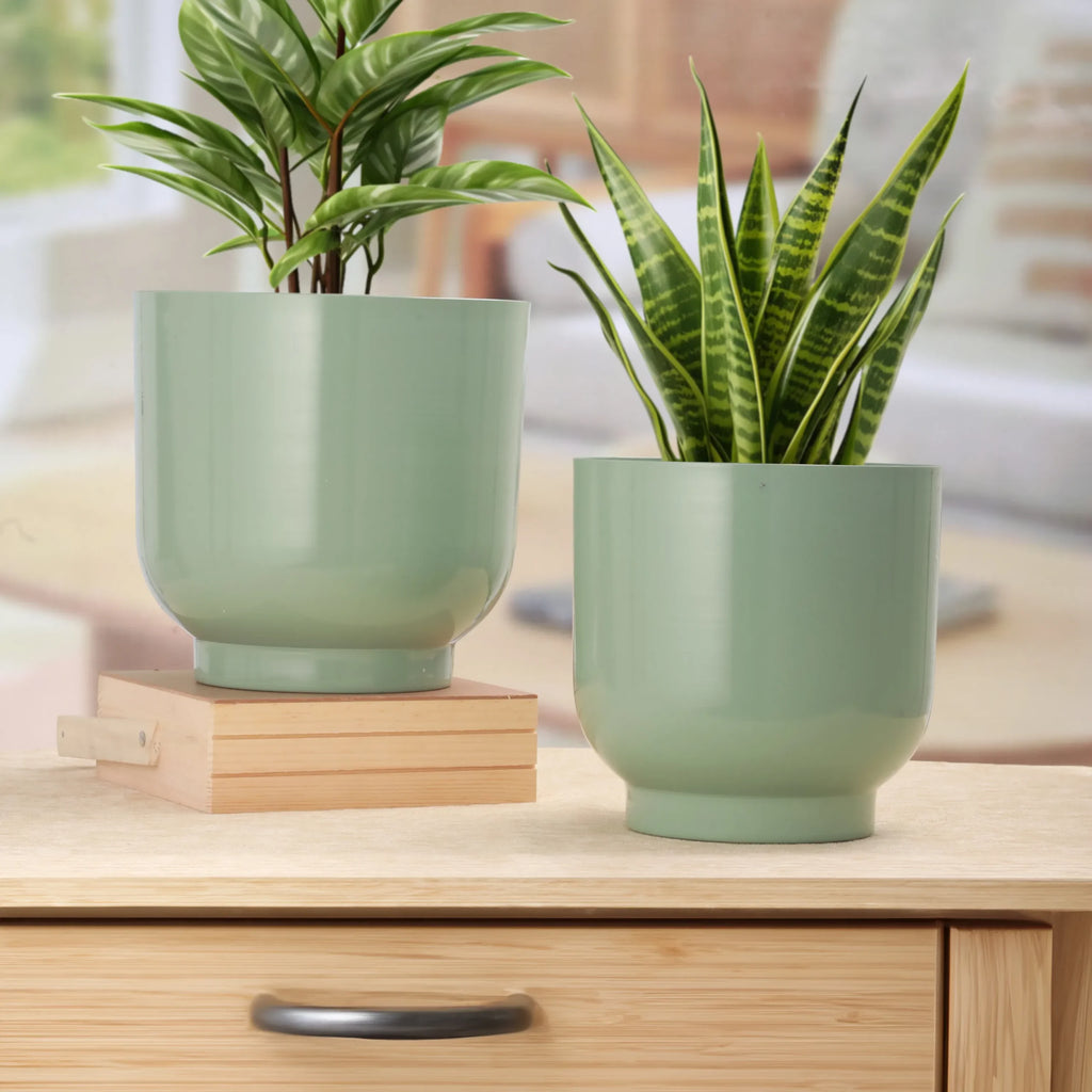 Botani Glow Planters