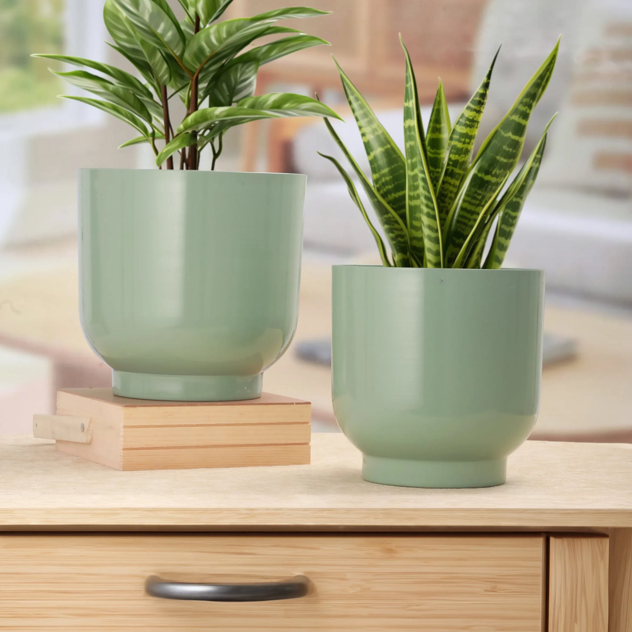 Botani Glow Planters