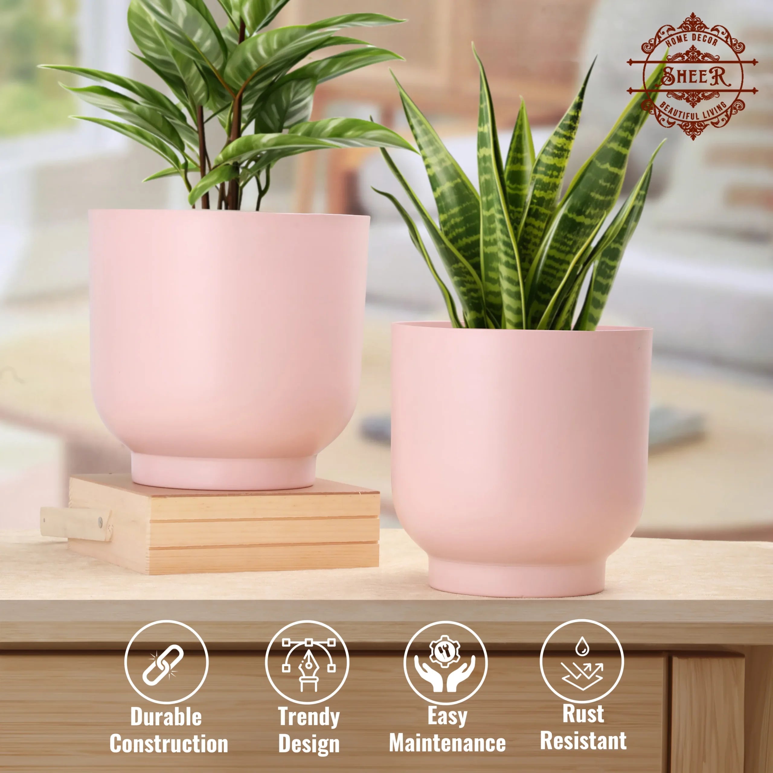 Rangini–Gulabi Planter Set