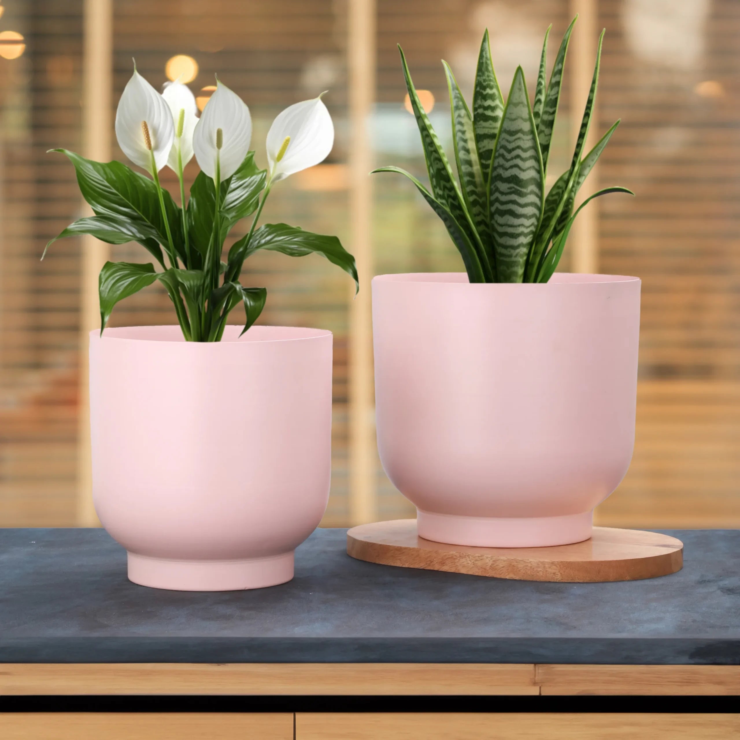 Rangini–Gulabi Planter Set