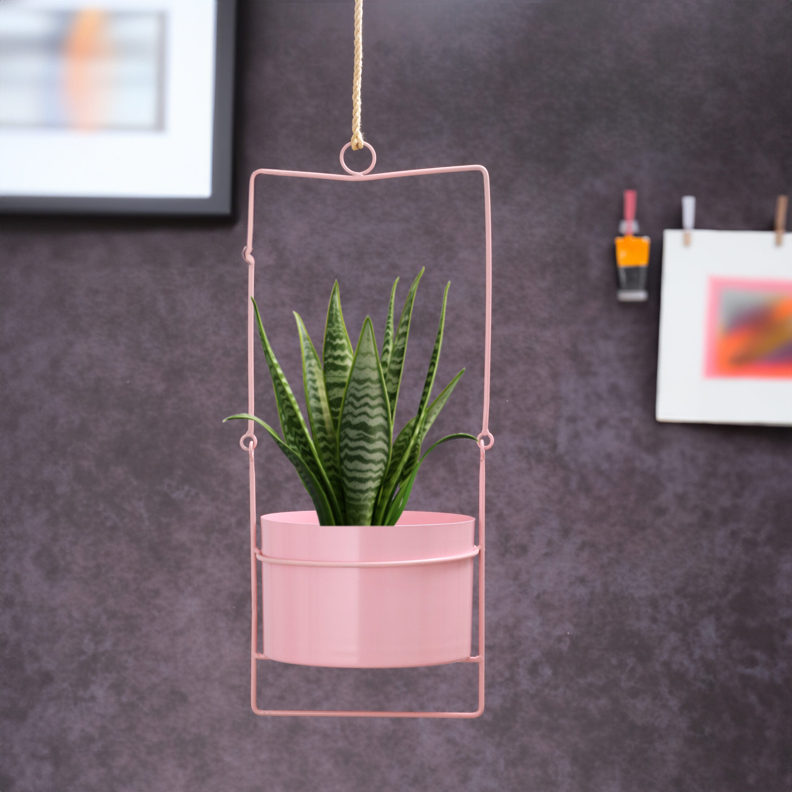 Rosé Charm Planter