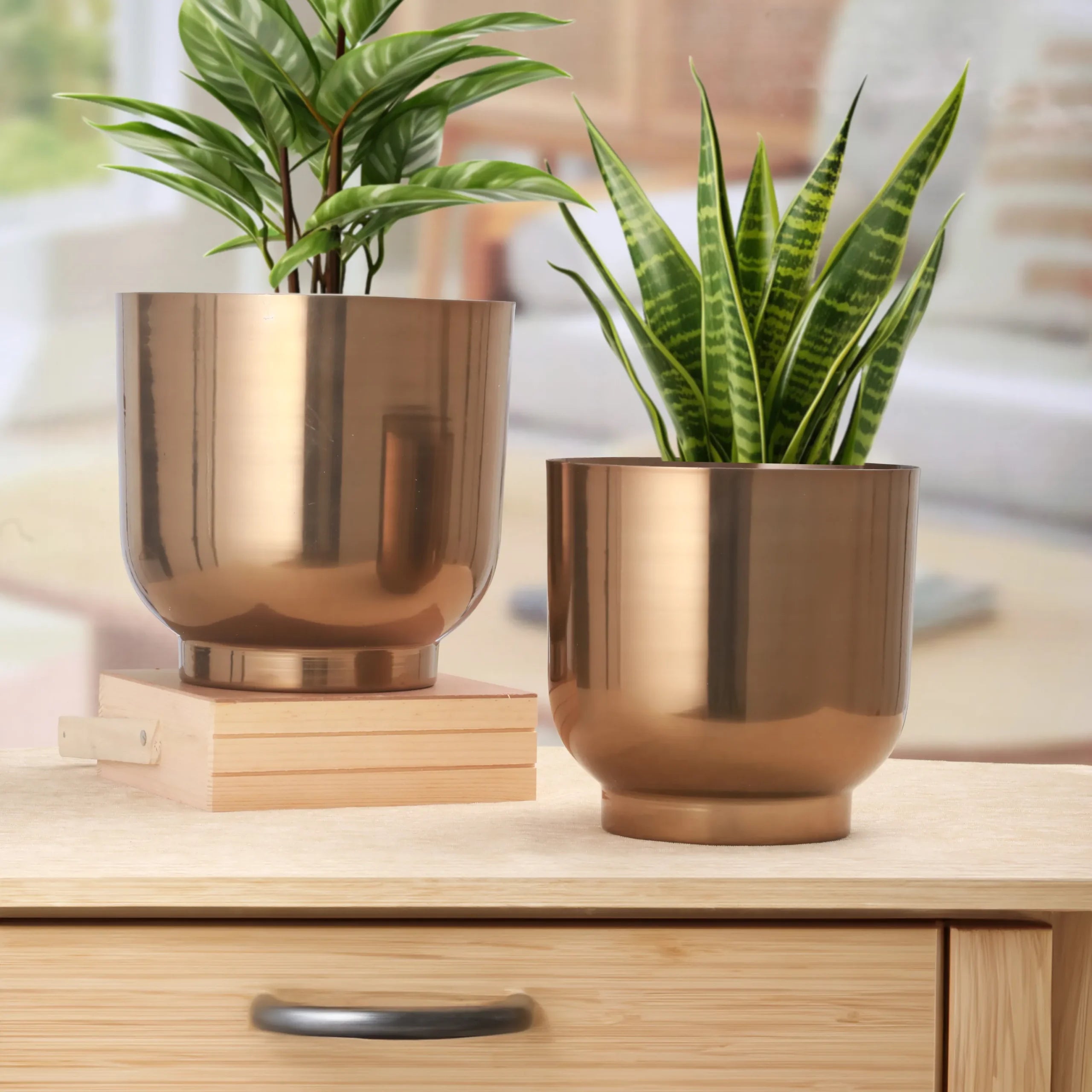 Vritti Kansya – Gloss Bronze Metal Planter Set