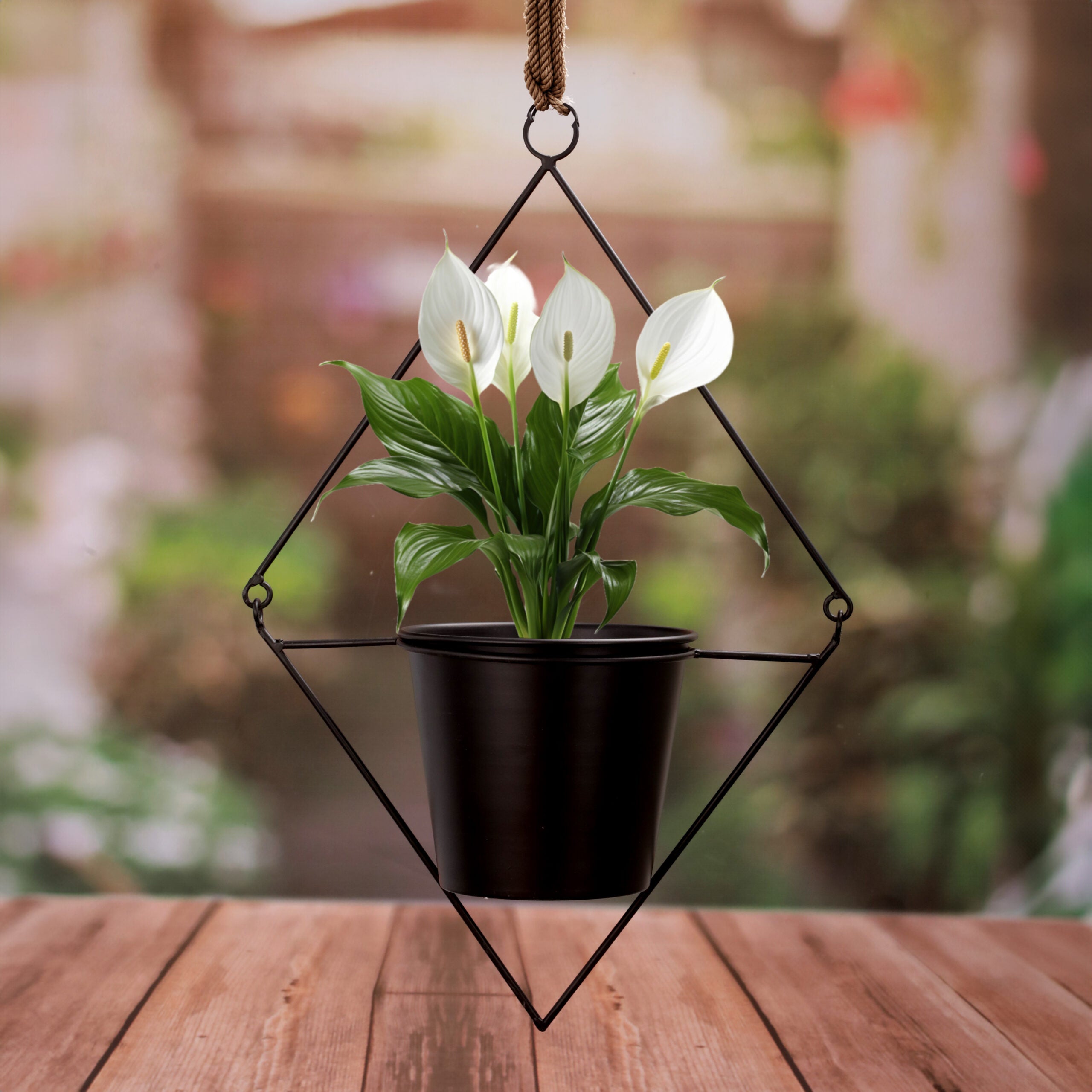 Dark Diamond Drop Planter
