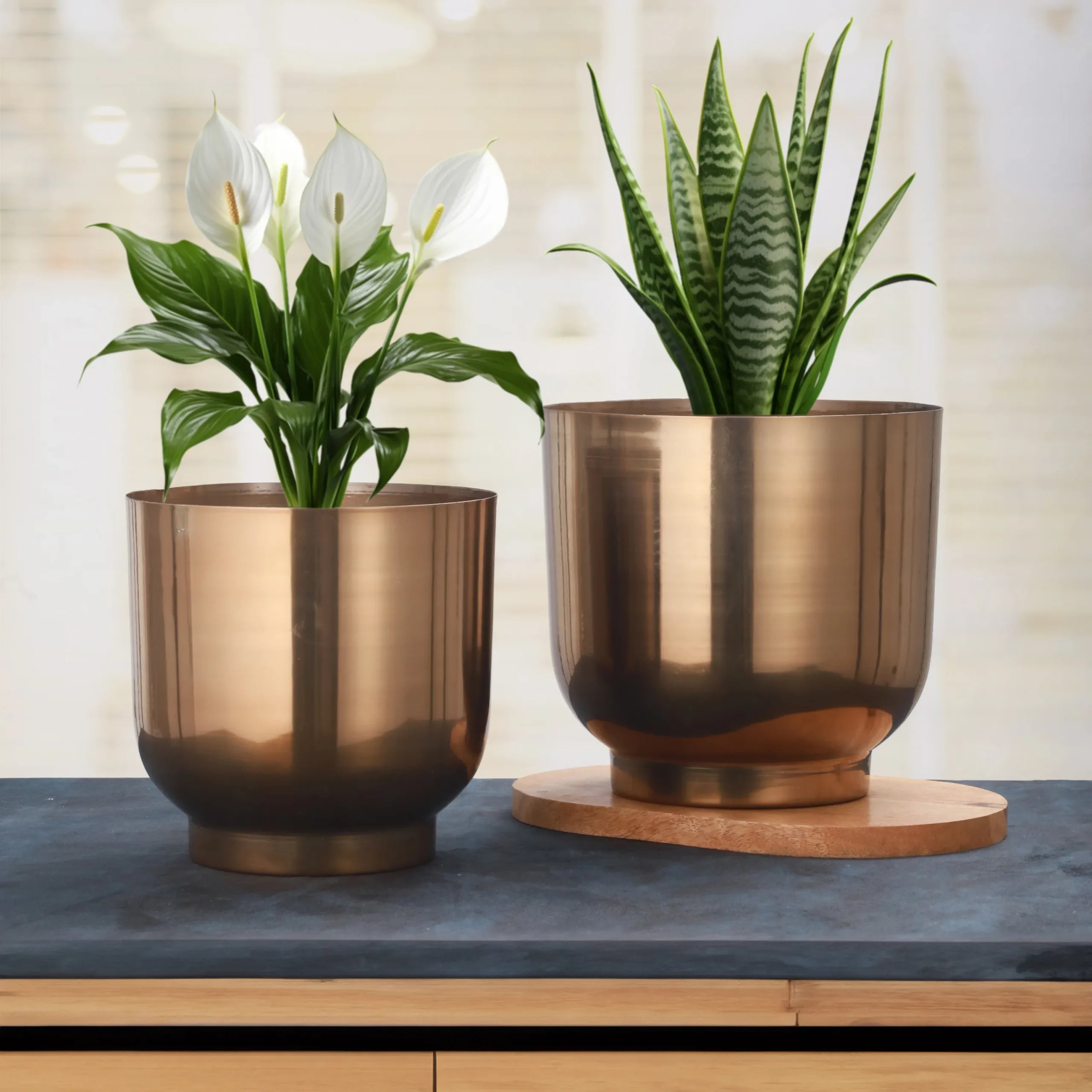 Vritti Kansya – Gloss Bronze Metal Planter Set