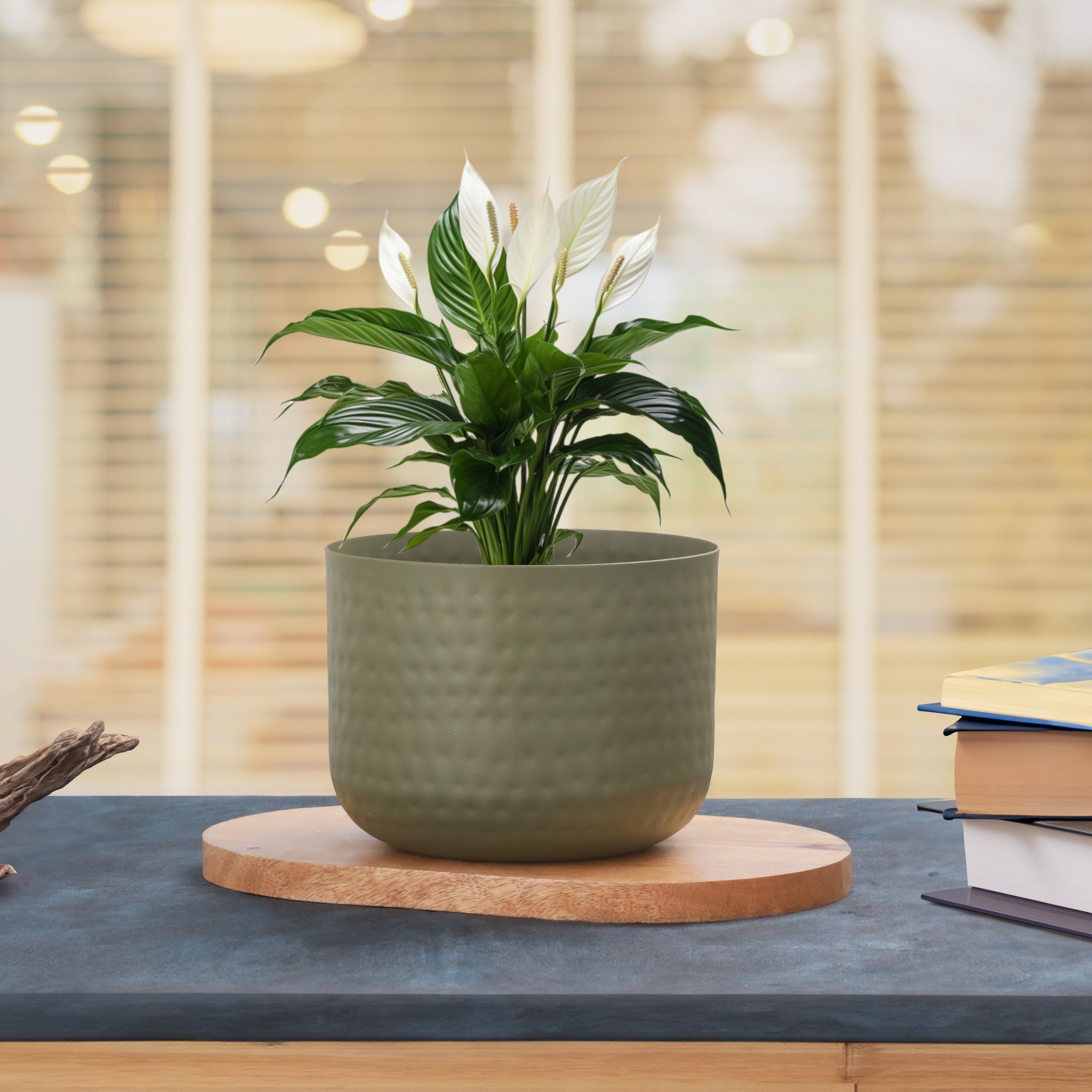 Verdant Harmony Textured Planter