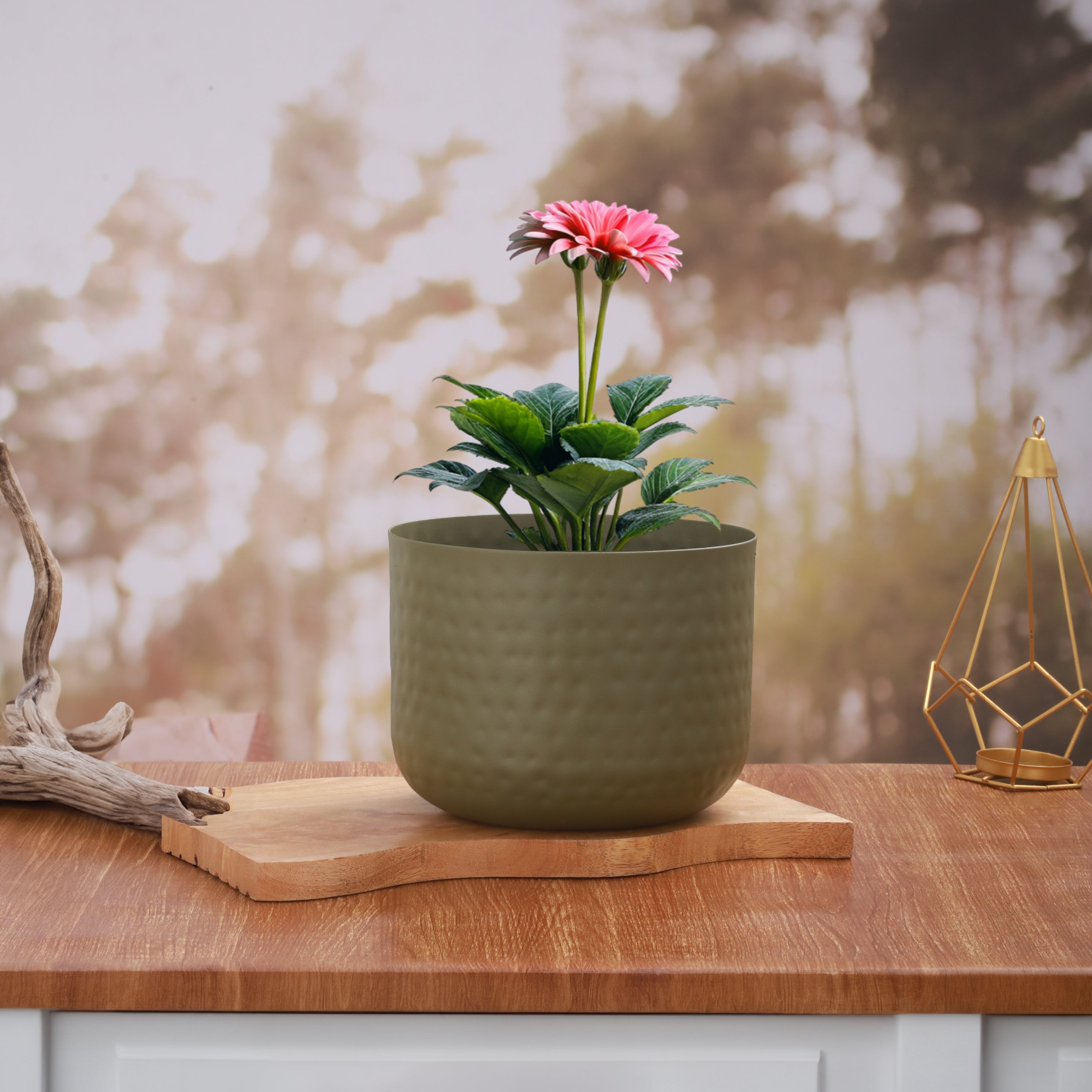 Verdant Harmony Textured Planter