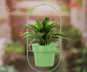 Swinging Sprout Planter